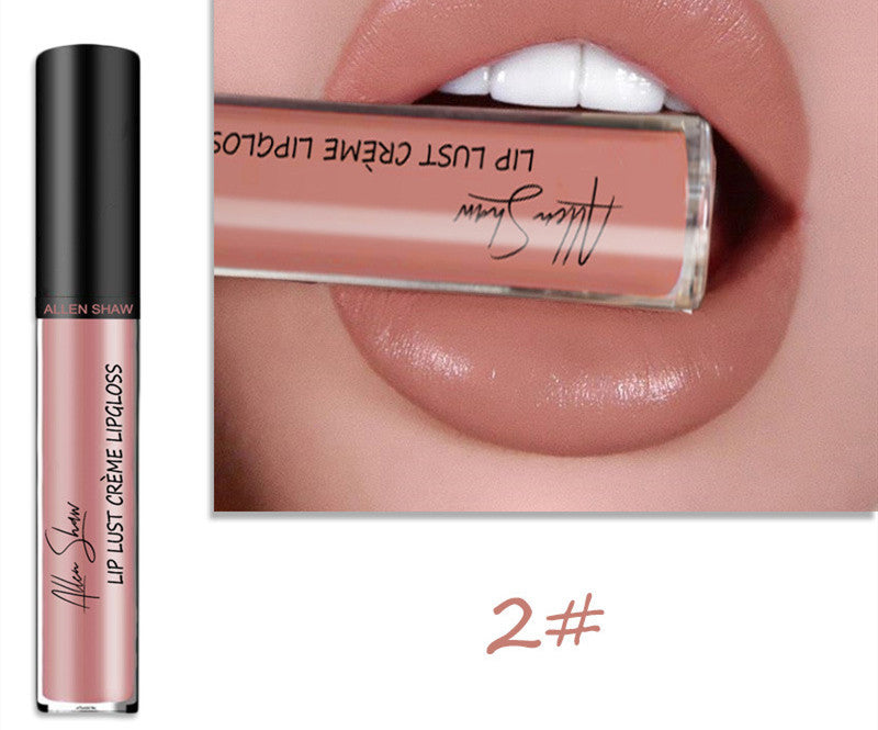 Silky Cream Texture Lip Gloss AliExpress Shopee Cross-Border Exclusive Lip Glaze Lip Gloss Lipstick Silky Cream Texture Lip Gloss AliExpress Shopee Cross-Border Exclusive Lip Glaze Lip Gloss Lipstick